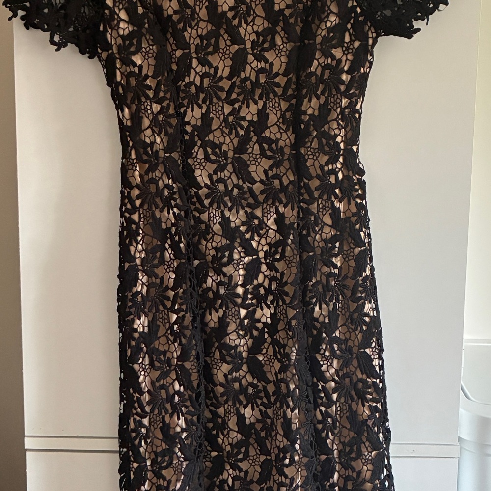 NSR Black Sheath Mini Dress with Flutter Sleeves